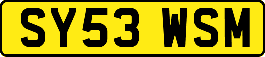 SY53WSM
