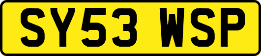 SY53WSP