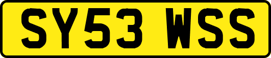 SY53WSS