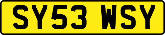 SY53WSY