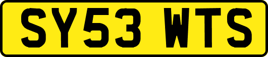 SY53WTS