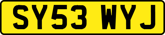 SY53WYJ