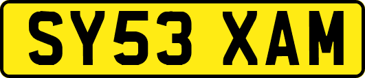 SY53XAM