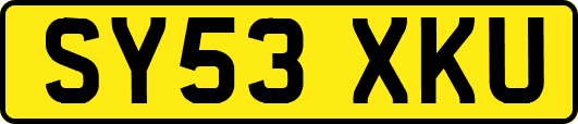 SY53XKU