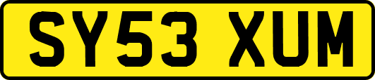SY53XUM