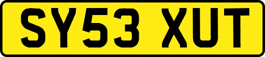 SY53XUT