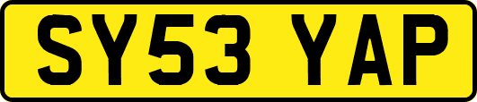 SY53YAP