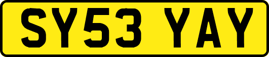 SY53YAY
