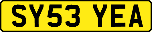 SY53YEA