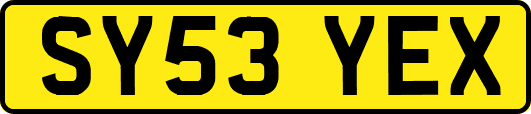 SY53YEX