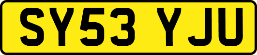 SY53YJU