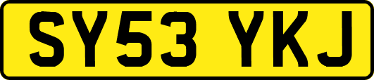 SY53YKJ