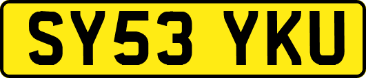 SY53YKU