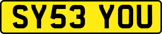 SY53YOU