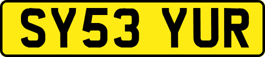 SY53YUR