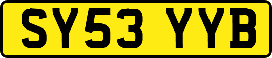 SY53YYB