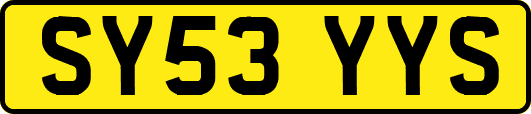 SY53YYS