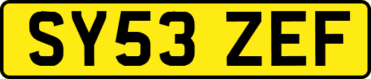 SY53ZEF