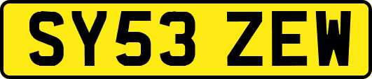 SY53ZEW