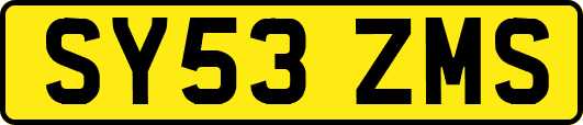 SY53ZMS
