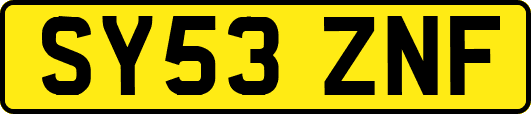 SY53ZNF
