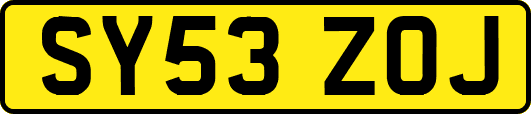 SY53ZOJ