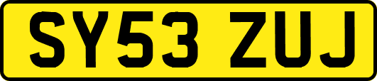 SY53ZUJ