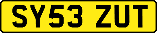 SY53ZUT