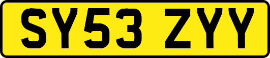 SY53ZYY