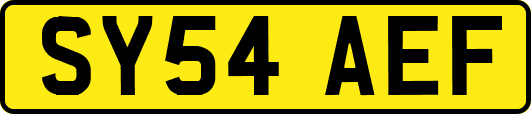 SY54AEF