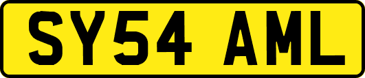 SY54AML