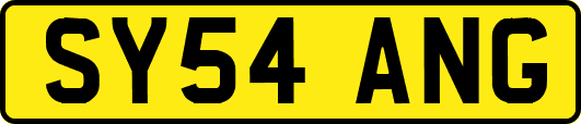 SY54ANG