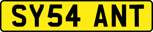 SY54ANT