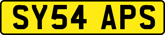 SY54APS