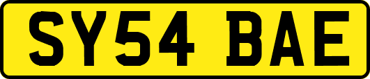 SY54BAE