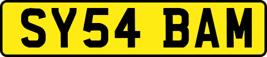 SY54BAM