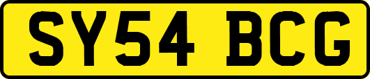SY54BCG