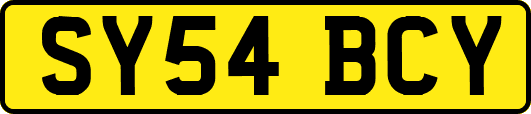 SY54BCY