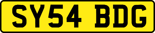 SY54BDG