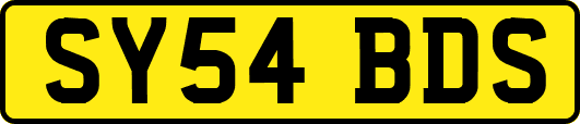 SY54BDS