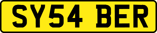 SY54BER