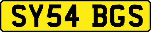 SY54BGS
