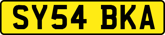SY54BKA