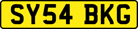 SY54BKG