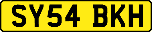 SY54BKH