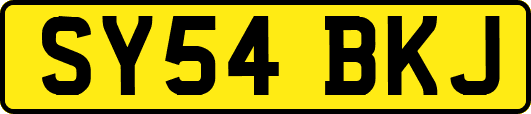 SY54BKJ