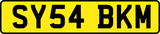 SY54BKM