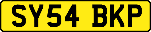 SY54BKP