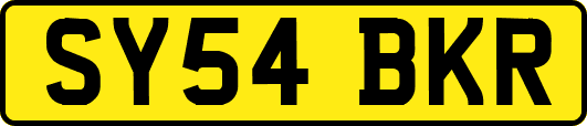 SY54BKR