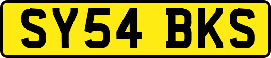 SY54BKS
